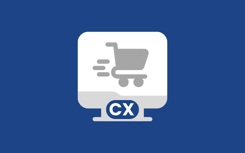 Customer Experience in E-commerce